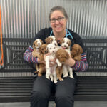 A staff member at Oxford Veterinary Clinic smiling while holding six small puppies on their lap on a bench